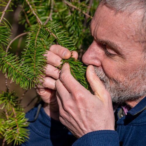 Cliff Thorbes smelling tree