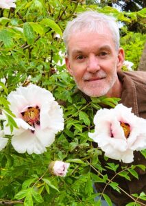 Cliff with a Tree Peony